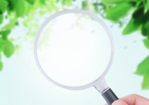 虫眼鏡で様子を見ている